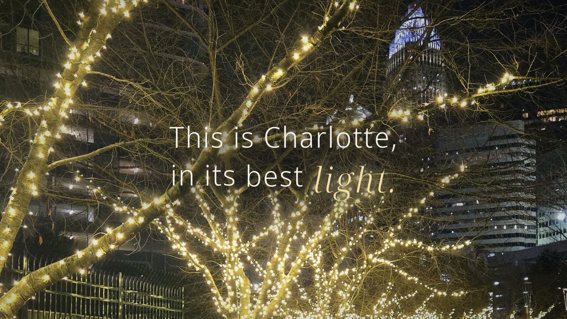 Trees strung with lights at night in Romare Bearden Park, Durham